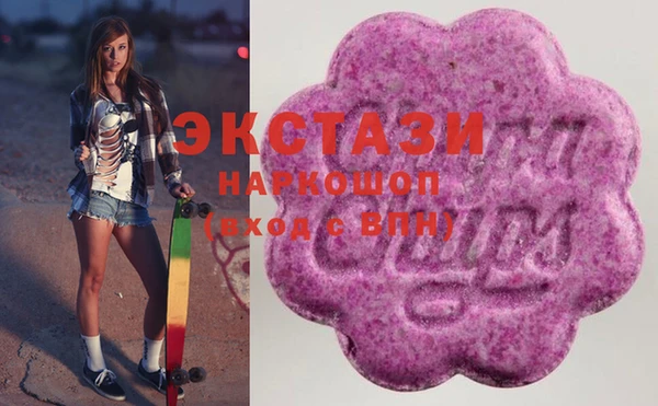 гашик Надым