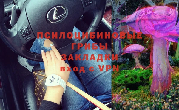 гашик Надым