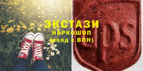 гашик Надым