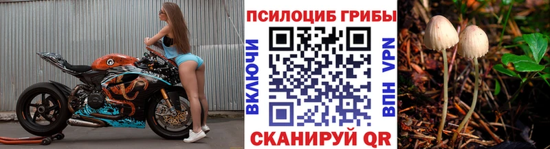 купить наркотики сайты  Томилино  кракен зеркало  Галлюциногенные грибы Cubensis 
